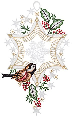 'Orlo Plauener Immagini per finestre a forma di stella con uccello in diversi designs, Tessuto, Stern mit Vogel links unten
