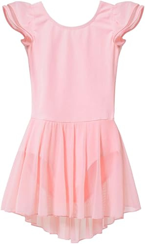 MdnMd Ballet Leotards for Girls Toddler Dance Ballerina Leotard Outfit with Skirt Dresses Tutu (Ballet Pink/Age 2-4T)
