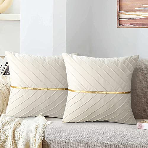 MAIXUN Samt Kissenbezüge 45x45 cm Beige Zierkissenbezug Dekokissen Sofakissen Weich Couchkissen Kopfkissen Sitzkissen Kissenbezug Deko Kissen für Wohnzimmer Schlafzimmer Büro Auto Sofa 2er Set