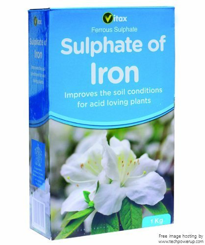 2xVitax 1Kg Sulphate of Iron Fertiliser