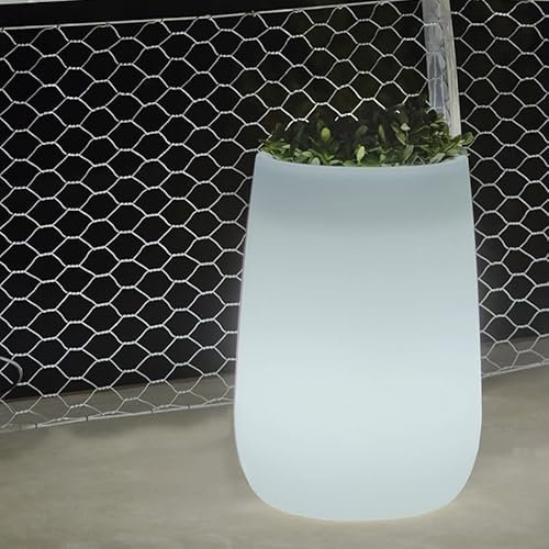 MOOVERE Pot de Fleurs Lumineux translucide en polyéthylène, léger et résistant, pour Plantes et Fleurs (Câble - Lumière Froide, High)