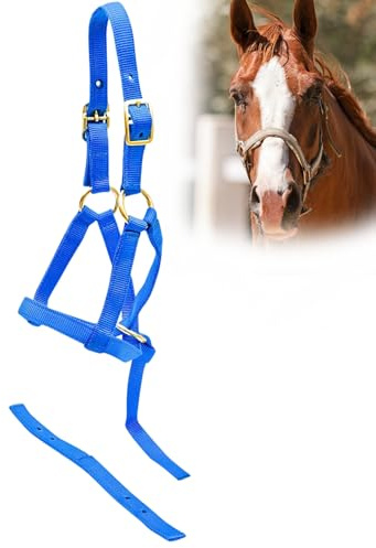 Jeffers Equine Nylon Weanling Halter for Foals, Ponies, Miniature Horses – Adjustable 2 Ply 3/4 Webbing with Brass Plated Hardware – Lightweight for Training, Grooming, & Farm Use - Royal Blue