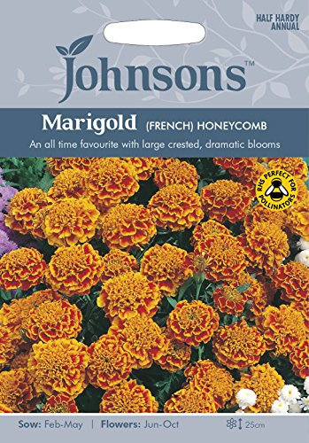 Johnsons Marigold (French) Honeycomb