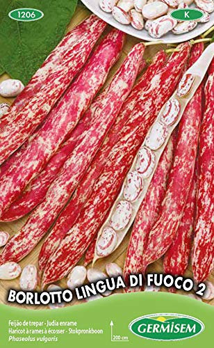 Germisem Borlloto Lingua di Fuoco 2 Graines de Haricot à Rames 100 g EC1206 Multicolore