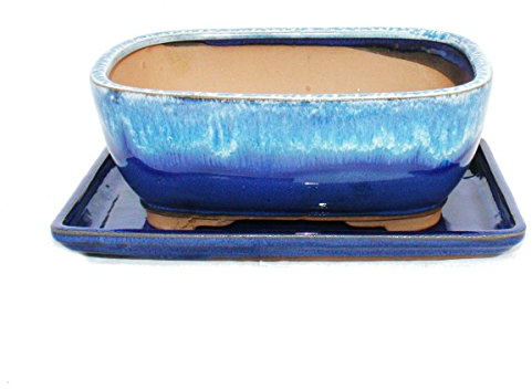 Exotenherz - Bol à bonsaï avec soucoupe taille 8 - bleu-beige - carré - modèle G5B - L 20,5 cm - l 16 cm - H 8 cm