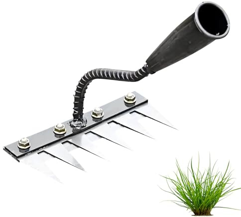 Gartenarbeit Unkrautrechen mit 6/7/8 Zähne, Karbonstahl Unkrautrechen mit Griff, breite-Zinken Unkrauthacke Robust, Hacke Garten rostbeständig, für Unkrautjäten im Garten (6 Zähne)