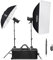 GODOX SK400IIV-C Kit de Flash Pour Studio (Avec Accessoires)