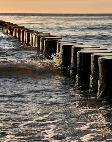 Bricolage Peinture à l'huile sur Toile - Grumes,pilotis,mer-40 * 50cm avec cadre en bois