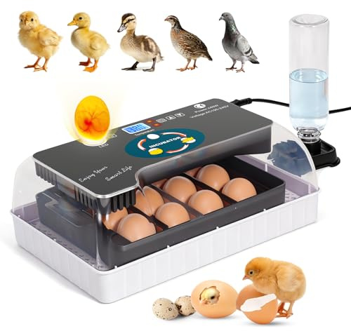 12 Eggs Automatic Digital Egg Incubator | Auto Turning & Temperature Control Poultry Hatcher for Chicken Duck Quail Bird Eggs