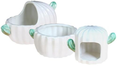 ibasenice Nid en Céramique pour Petits Animaux 3pcs Bain de Sable de Cactus, Robuste et Multifonctionnel, pour Chinchillas et Rats la Maison