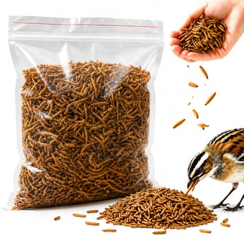 Premium Dried Mealworms for Wild Birds, 5L Refill Bag - 800G, 100% Natural High-Protein & High-Energy Feed, Mess-Free Bird Food with Edible Oils, Ideal for Garden Birds, All Wild Bird Species