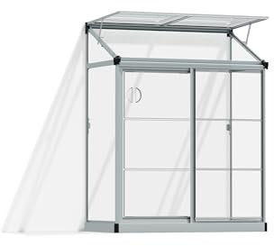 CANOPIA by Palram Serre de Jardin Lean to 0.8m² (Argent) Cadre en Aluminium, Panneaux en Polycarbonate, Résistant aux UV