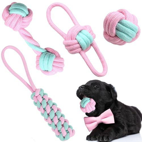 Ensemble de 4 Jouets à Mâcher Interactifs pour Chien - Balles et Cordes en Coton pour Dentition Chiot