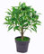 yanka-style Olivenbaum künstlich – Kunstpflanze mit Topf, ca. 65 cm hoch, Deko Pflanze aus Kunststoff, naturgetreuer Blickfang für Wohnung & Büro – Modell JWS2041
