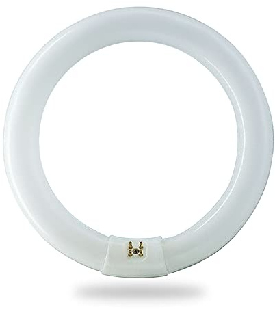 BULBMASTER FC8T9/CW 22 Watt 8 Inch Round T9 Fluorescent Circular Light Bulb, Cool White 4100K, 1120 Lumens G10Q 4-Pin Base 22W Circline Ceiling Lights