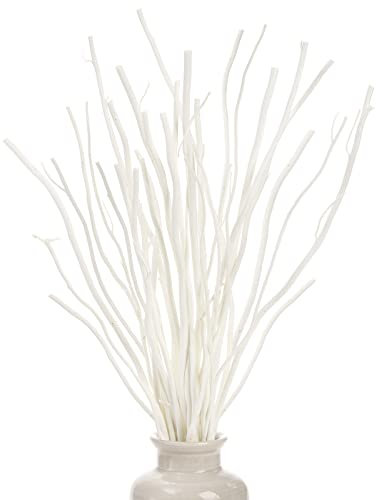 SOUJOY Lot de 30 branches de saule décoratives séchées et bouclées, 25,4 cm, 30,5 cm, bâton diffuseur en bois naturel pour vase, artisanat, maison, bureau, SO-WillowBranchTwig-2S30P