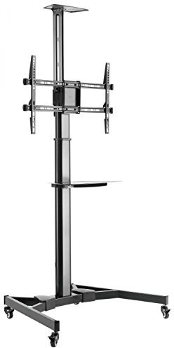RICOO TV Ständer Rollbar für 40-75 Zoll Fahrbarer Fernsehständer mit Rollen Höhenverstellbar Stand Fernseher Standfuss FS0364 Fernseh Wagen Bodenständer bis 50 Kg max. VESA 600x400 mm Drehbar Neigbar