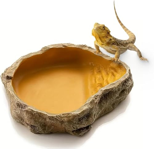 MUYYIKA Wasserschale Terrarium, Schildkröten Zubehör, Reptilien Wasserschale, Futterschale, Terrarium Trinkschale, Wassernapf, Schale, Zubehör für Schlange, Schildkröte, Gecko