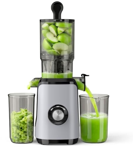 NEWBULIG Cold Press Juicer Machines, Masticating Juicer with High Juice Yield, Reverse Function, Stops Oxidation and Easy to Clean for Vegetables & Fruits, Silver