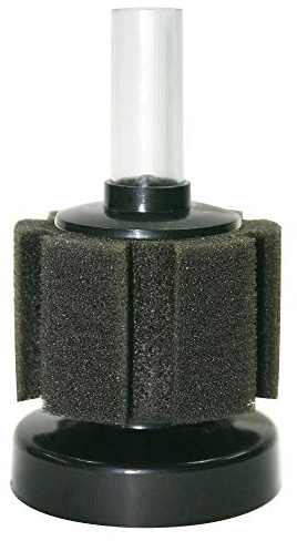 ICA Ocean Free BFBABY Filtre éponge pour Petits Aquariums, idéal pour Les Aquariums d'élevage et Les cabinets