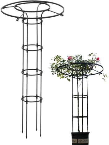 Estructura para Plantas Trepadoras De Exterior - Soporte Vertical De Metal para Flores - Torre de Jardinería Metálica en Forma de Paraguais para Flores, Plantas de Interior y Enredaderas