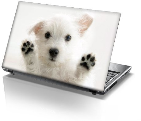 TaylorHe Laptop Skins - Pegatina de vinilo para portátil (15,6'', efecto cuero), diseño Señor de los Anillos