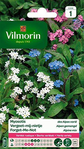 Vilmorin 5380541 Myosotis Multicolore 9 x 0.5 x 16 cm