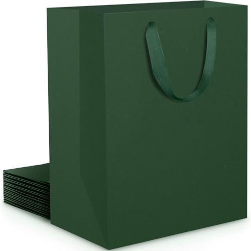 EUSOAR Buste Regalo Medie - 10 Pezzi Sacchetti Regalo Verde - 230GSM Buste di Carta con Manici Medi M 20x10x28cm - Verde Scuro Busta Regalo Compleanno - Sacchetto Cartone Festa Confezioni