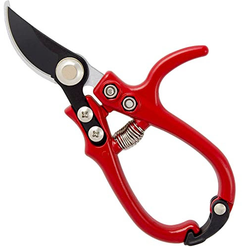 Darlac Ergo Garden Pruning Scissors – Small Garden Pruners with Ergonomic Handles – Razor Sharp Blades Perfect for Light Pruning and Deadheading - SK5 High Carbon Steel Blade
