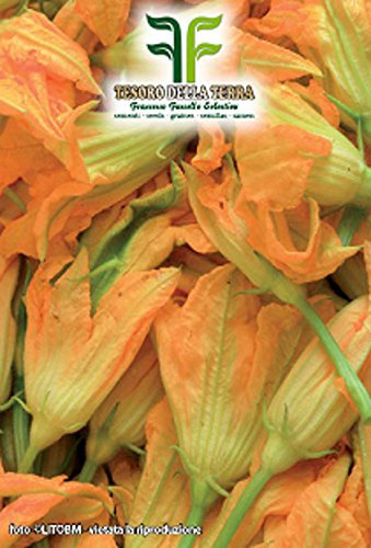 Semi Zucchino da Fiore,Mondonatura Srl