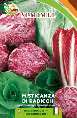 Misticanza di Radicchi e Cicorie - Varietà Medio-Precoce per Insalate, Gusto Assortito e Rivegetazione Rapida 2 confezioni