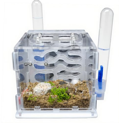 Acrylic Ant Farm Starter Kit – Modern ant nest with Automatic Watering, Easy to Assemble, Low Maintenance Cost, Perfect for Beginners – White