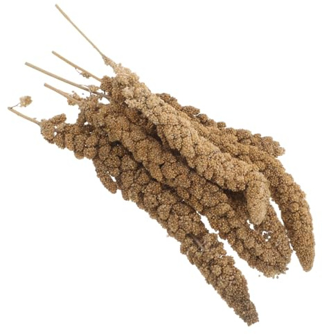 Abaodam Friandises Millet pour Perruches et Canaris 500g, Nourriture Naturelle Facile à Installer Expérience de Recherche Sauvage en Cage