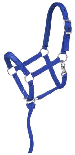 Tough 1 Nylon padded Miniature Halter, Blue/Royal, Small