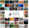 metaFox - 52 Coaching Picture Cards ORIGINAL - Conversation Starter Cards and Facilitation Tools for Coaching, Workshop, Training, and Therapy - Team Building Cards as Icebreaker Game