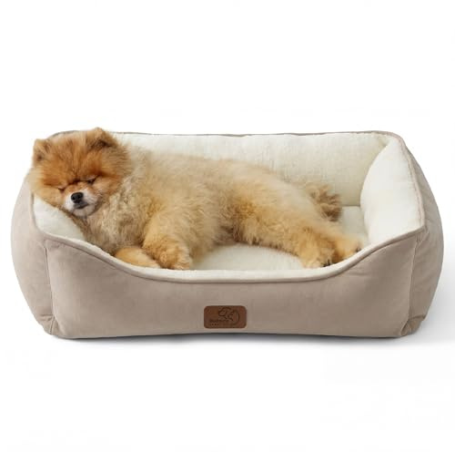 Bedsure Large Cat beds for Indoor Cats Washable, Small Dog Bed, 63.5x53cm | Rectangle Dog Bed Medium with Anti-Slip Bottom, Cat Basket Pet Bed for Puppy with soft Material, Camel