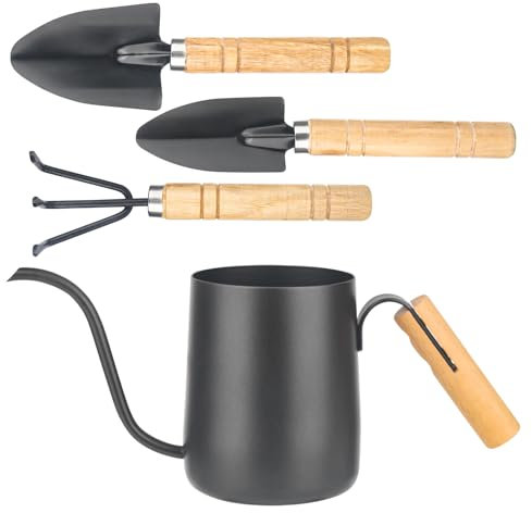 YHNDECO XTDMJ 350 ml Negro Regadera Pequeña Plantas de Interior con 3 Herramientas de Jardín, Mini Regadera, Acero Inoxidable Caño Largo Regadera Jardín Regadera para Plantas de Interior Suculentas