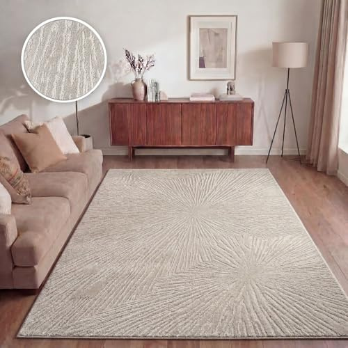 TT Home Tappeto Soggiorno Sala Da Pranzo Pelo Corto Design Boho Scandinavo Aspetto Astratto Tinta Unita Effetto Alto-Basso, Dimensione:160x220 cm