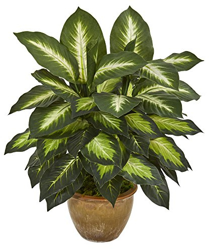 Nearly Natural Artificial Dieffenbachia Plant Faux Greenery in Ceramic Planter for Indoor Home Decor