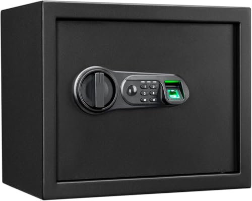 Floordirekt Cassaforte Catoca 25 x 35 x 25 cm - Cassaforte per mobili con impronte digitali e serratura a combinazione, piccola cassaforte da parete per casa, cassaforte con chiave