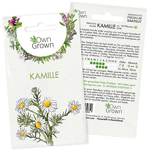 Kamille Samen: Kamille Saatgut für die Anzucht von 150 Kräuter Pflanzen – Heilkräuter Samen für Herstellung von Kamillentee und Kamillenblüten – Kräutersamen – Samen Kräuter – OwnGrown Kräuter Samen