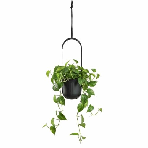 HowHomely Hängande ampel, hängande blomkruka, blomkruka, grå, rund, dekorativ, modern, blomkruka, hängkruka, ytterkruka med struktur för balkong, terrass, vardagsrum