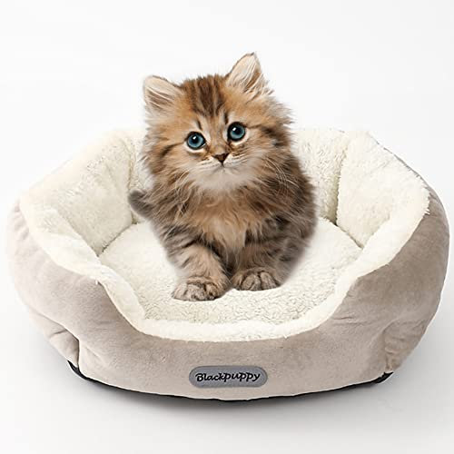 Nyescasa Hundebett Katzenbett Hundecouch Hundematte Hundekörbchen Katzenschlafplatz Hundesofa Katzensofa Kissen Plüsch Waschbar rutschfest für Große Katzen Hunde Runde Beige L(58 * 50 * 15)
