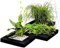 Aquacadabra 5x 25cm Square Floating Plant Island Fish Pond Planter Planting Basket