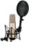 RØDE NT2-A Micrófono de condensador cardioide de gran diafragma versátil RØDE NT2-A con patrón polar conmutable, atenuador y filtro paso alto para grabación de voces e instrumentos