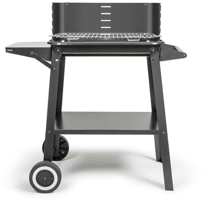 Livoo - Barbacoa de carbón DOC328-48,5x28,8 cm de cocina, 5 niveles de cocina, acero pintado, rejilla de acero cromado