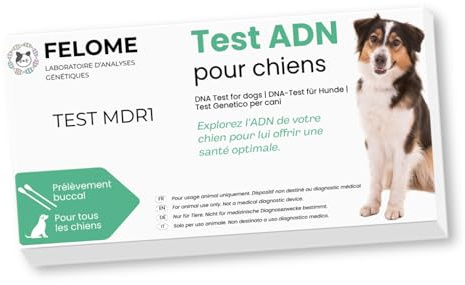 Felome Test ADN MDR1 pour Chiens – Test de Sensibilité Médicamenteuse pour Votre Chien – Résultats en 2 semaines - Test de santé Chiots et Chiens