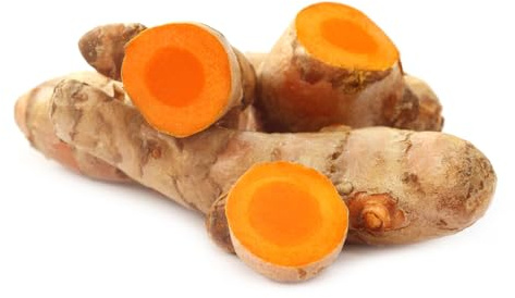 Semillas orgánicas de cúrcuma, semillas de hortalizas. Semillas organicas de plantas exoticas. Semillas de hierbas silvestres raras bonsais de plantas de interior resistente 300pcs