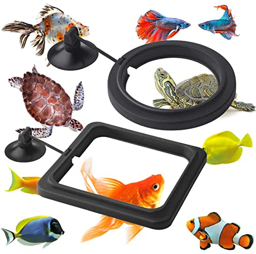 Cobee Anello Cibo per Pesce, 2 Pezzi Dispenser Acquario per Tartaruga, Accessori Serbatoio, Cerchio per Guppy, Betta, Pesci Rossi (Nero)