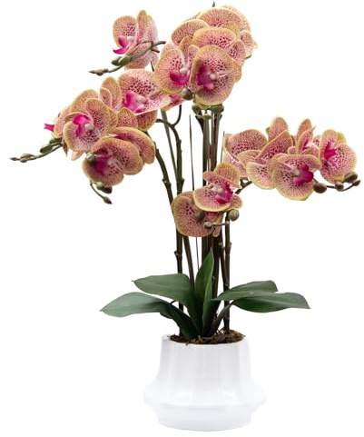 CXGS Artificial Orchid Flower Plant 20.9'' Real Touch Faux Orchids in Ceramic Vase Purple Dapple Fake Phalaenopsis Flower Arrangement Silk Orchids with Stems for Centerpiece Table Home Indoor Decor